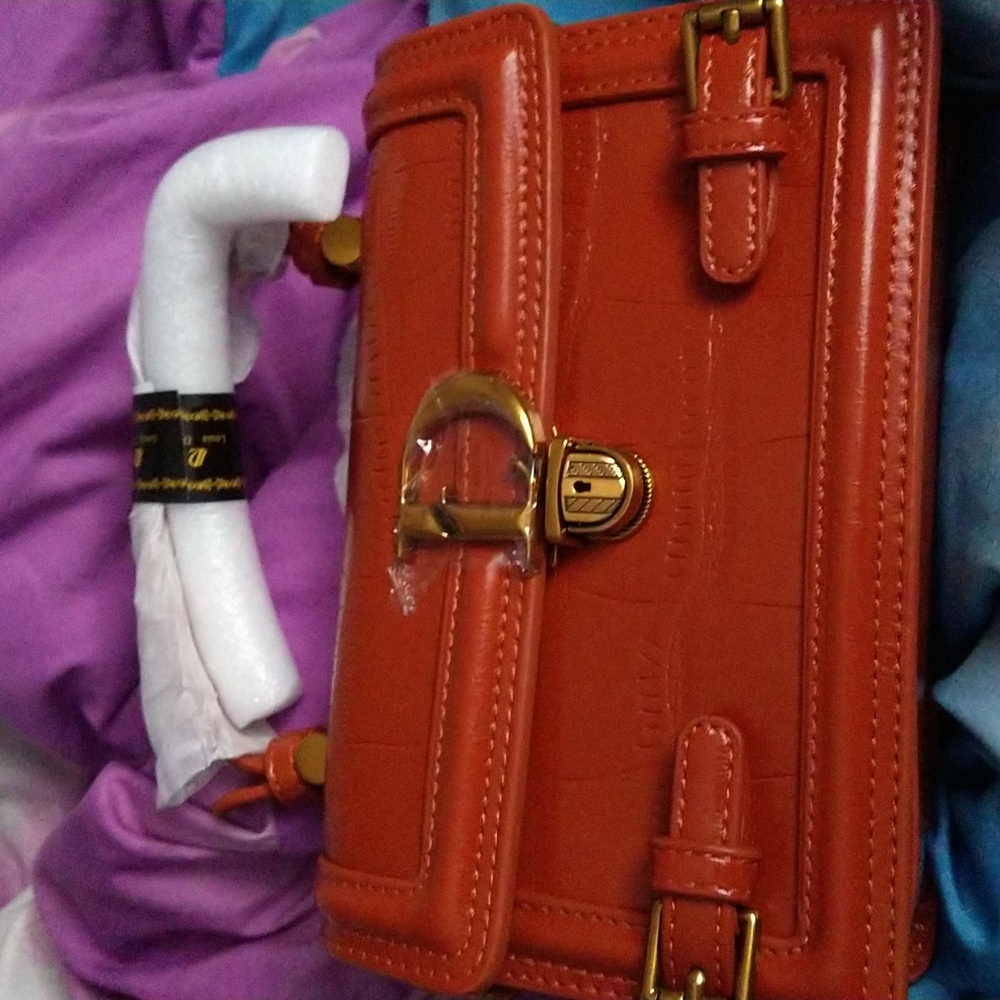 Louis Daisy woman's crossbody top handle purse